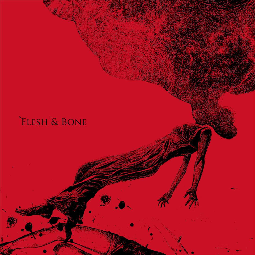 Flesh & Bone cover art