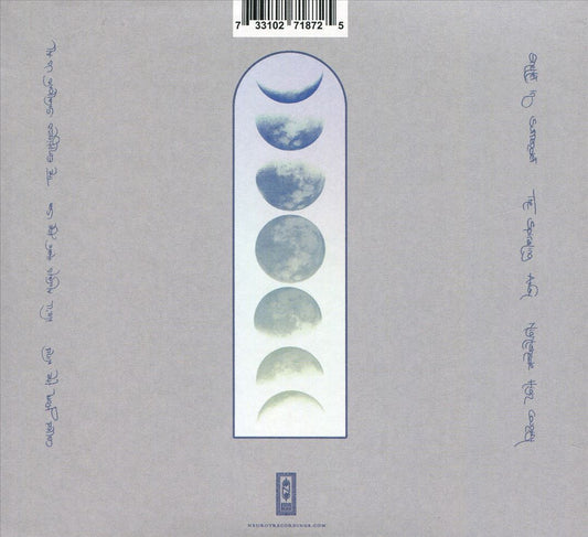 Deep Voiceless Wilderness cover art