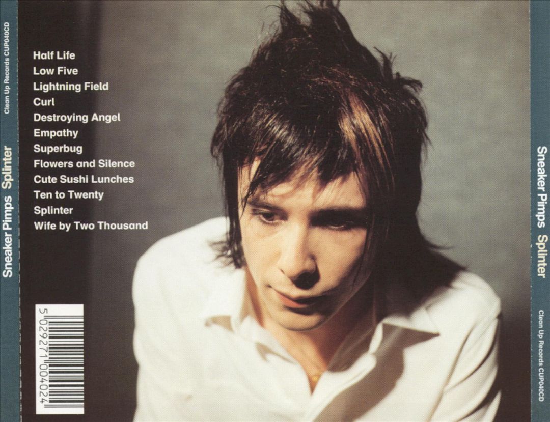 Splinter cover art