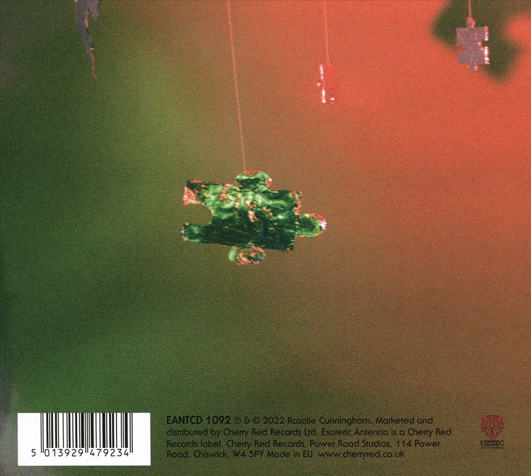 Two Piece Puzzle cover art