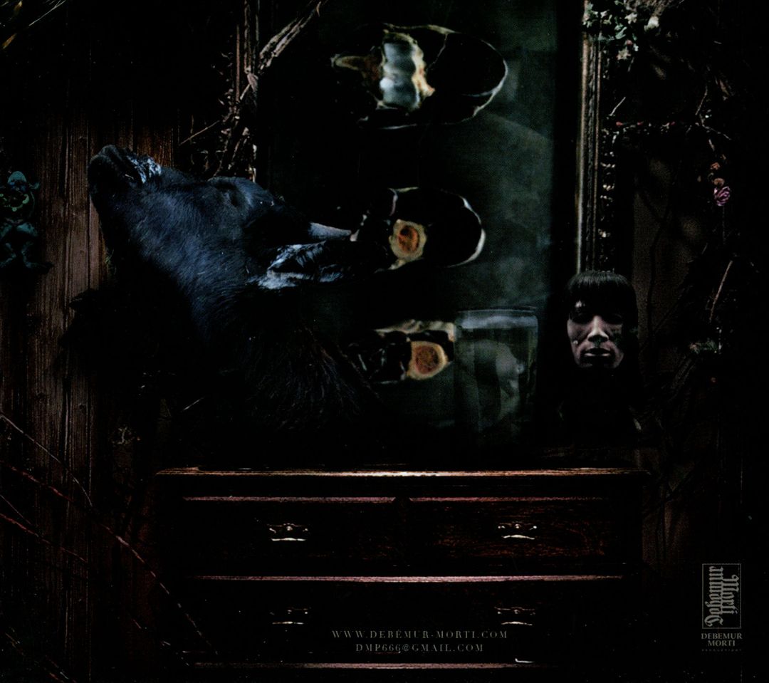 Teeth, Toes and Other Trinkets cover art