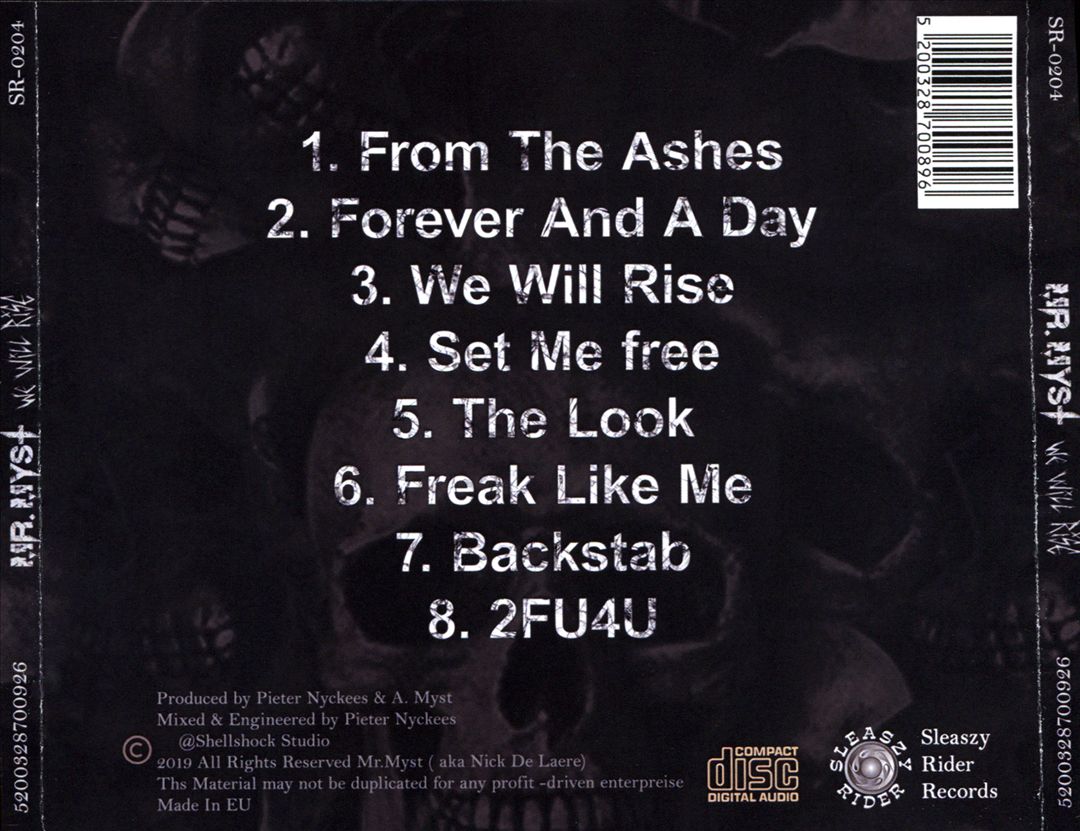 We Will Rise cover art