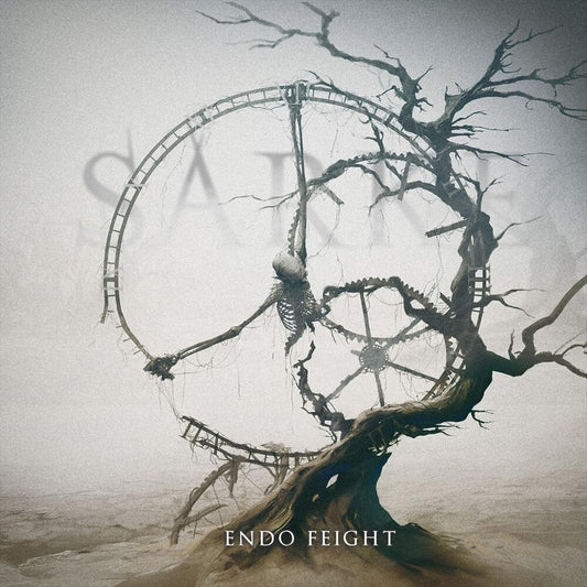 Endo Feight cover art
