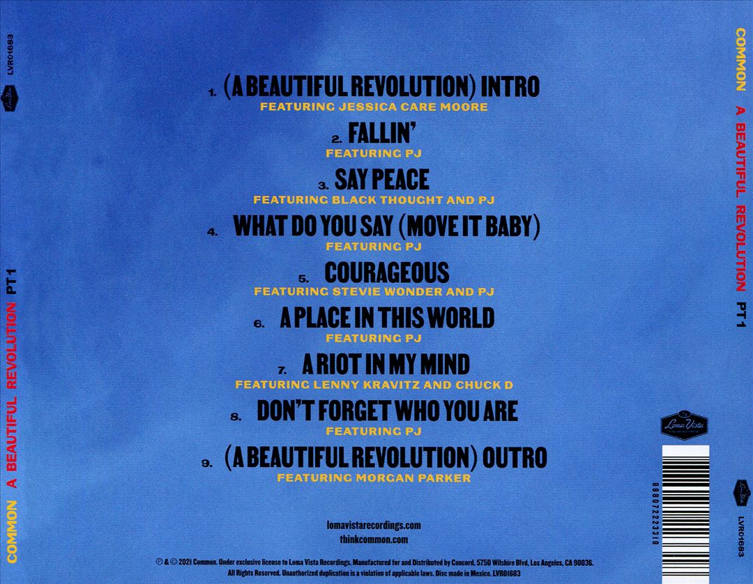 Beautiful Revolution, Pt. 1 cover art