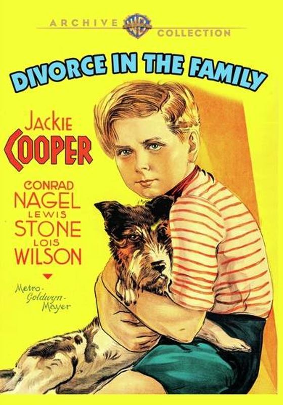 Divorce in the Family cover art