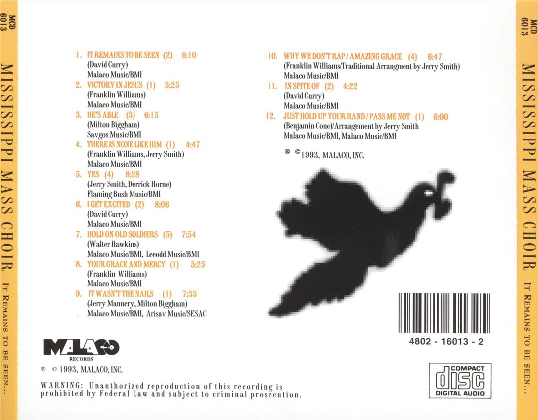 It Remains to Be Seen cover art