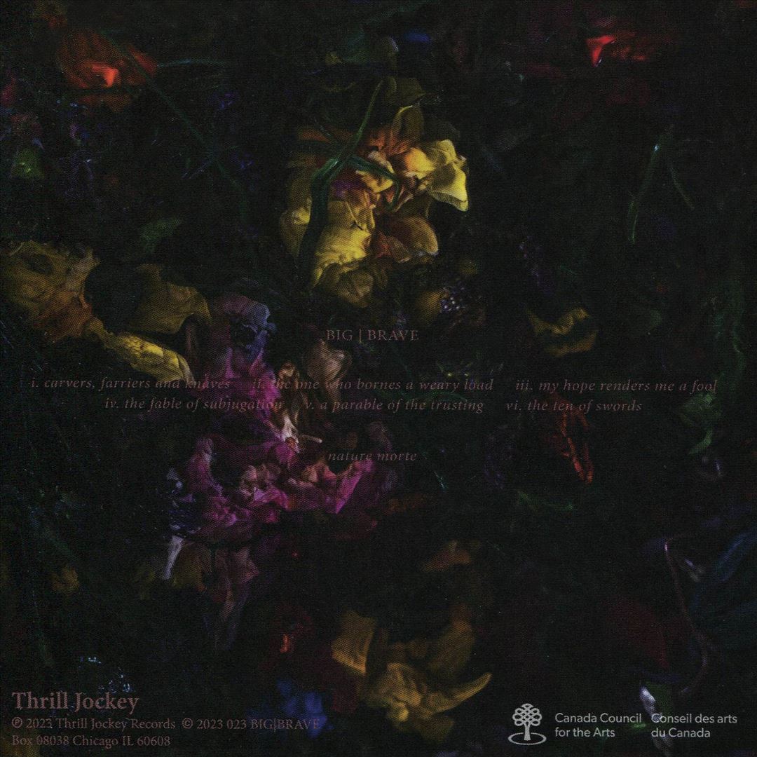 nature morte cover art