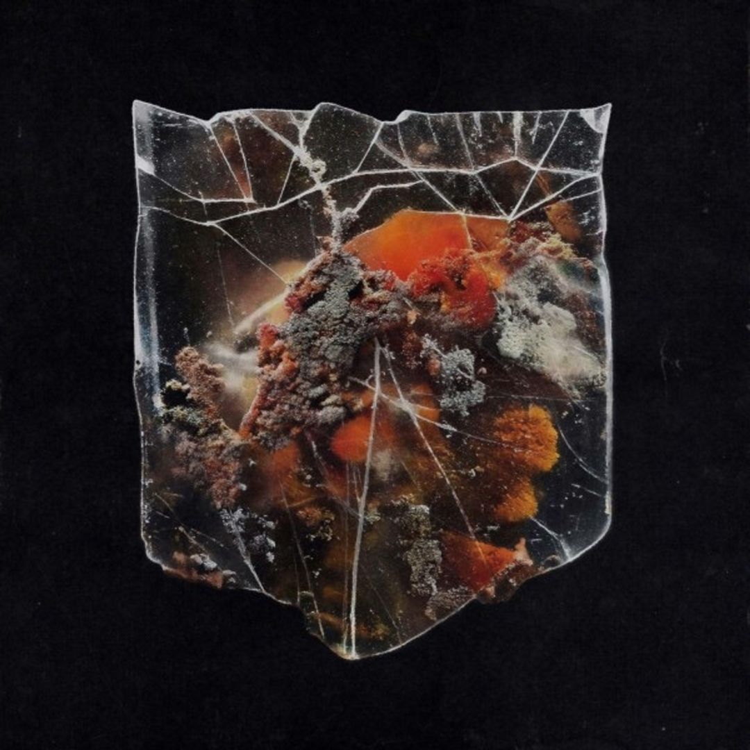 Death & Connection cover art