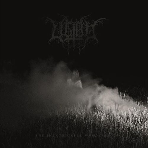 Inextricable Wandering cover art