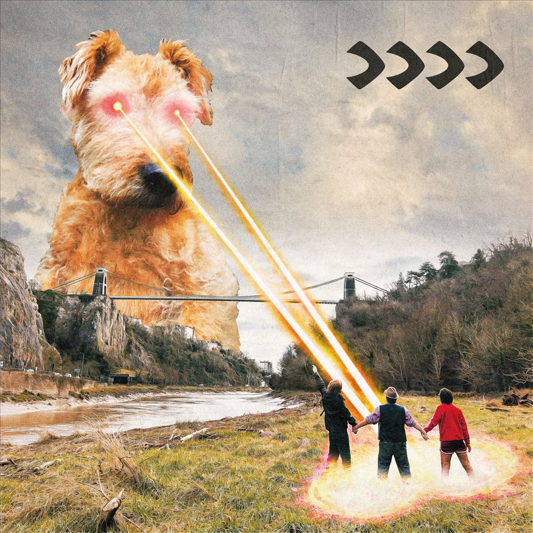 Beak IV cover art