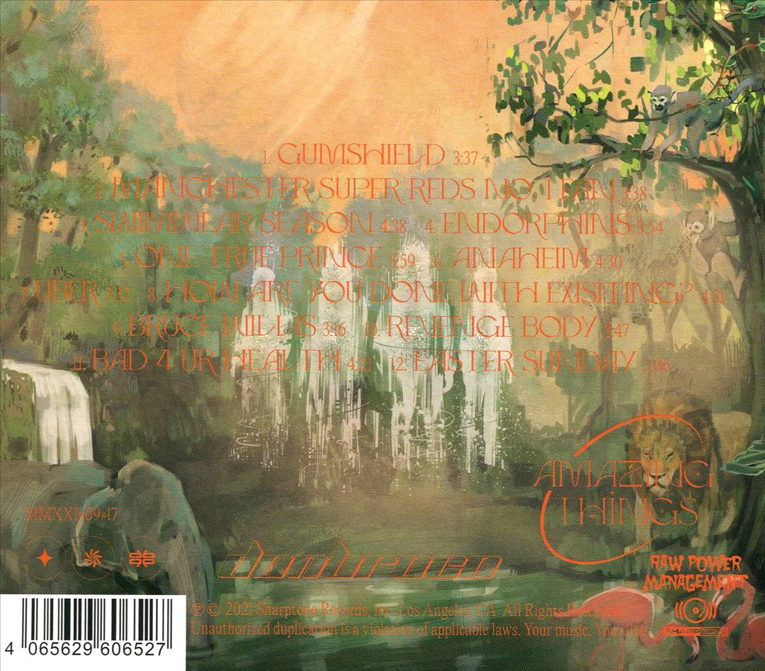 Amazing Things cover art