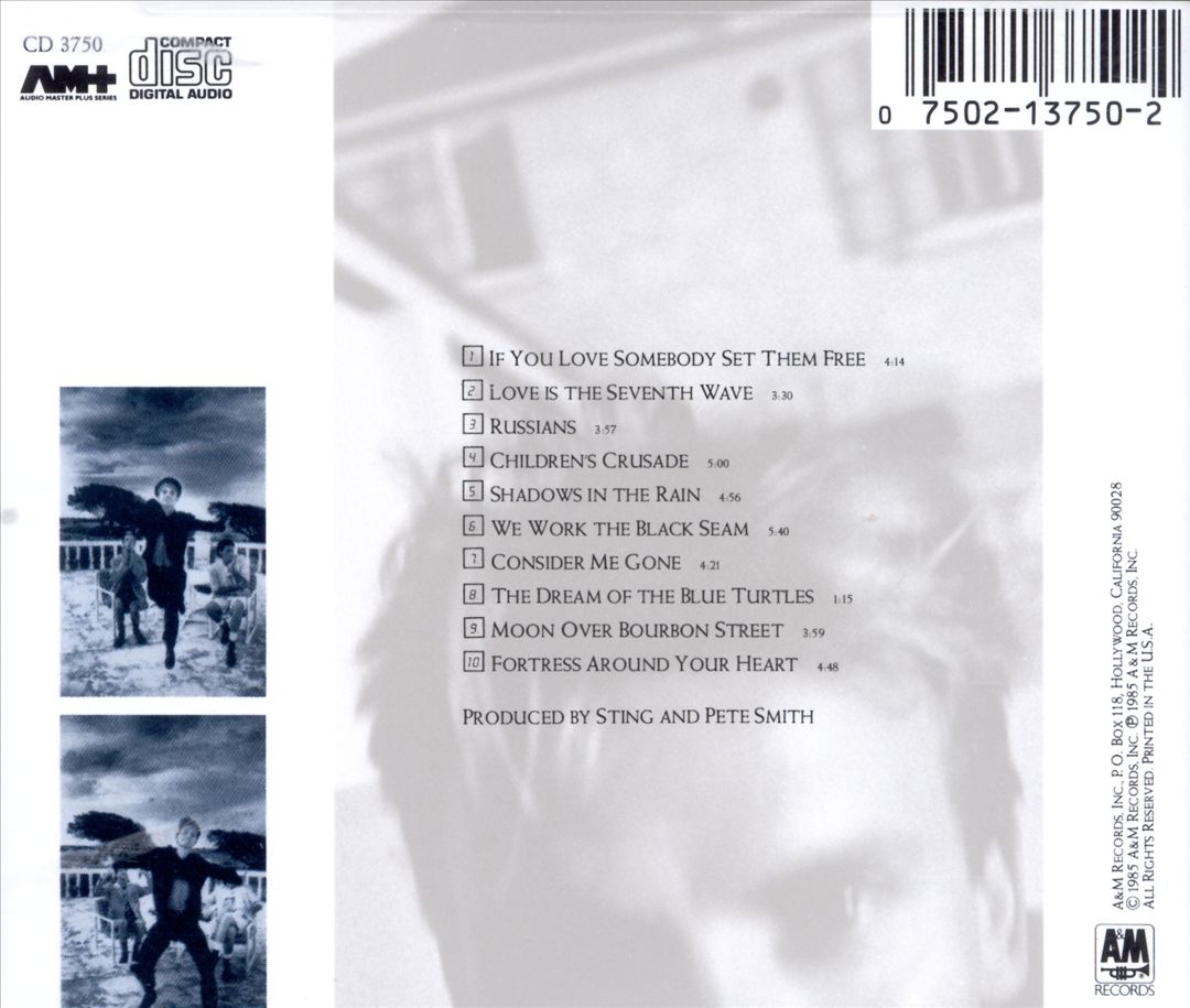 Dream of the Blue Turtles cover art