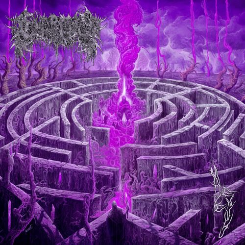Maze Envy cover art
