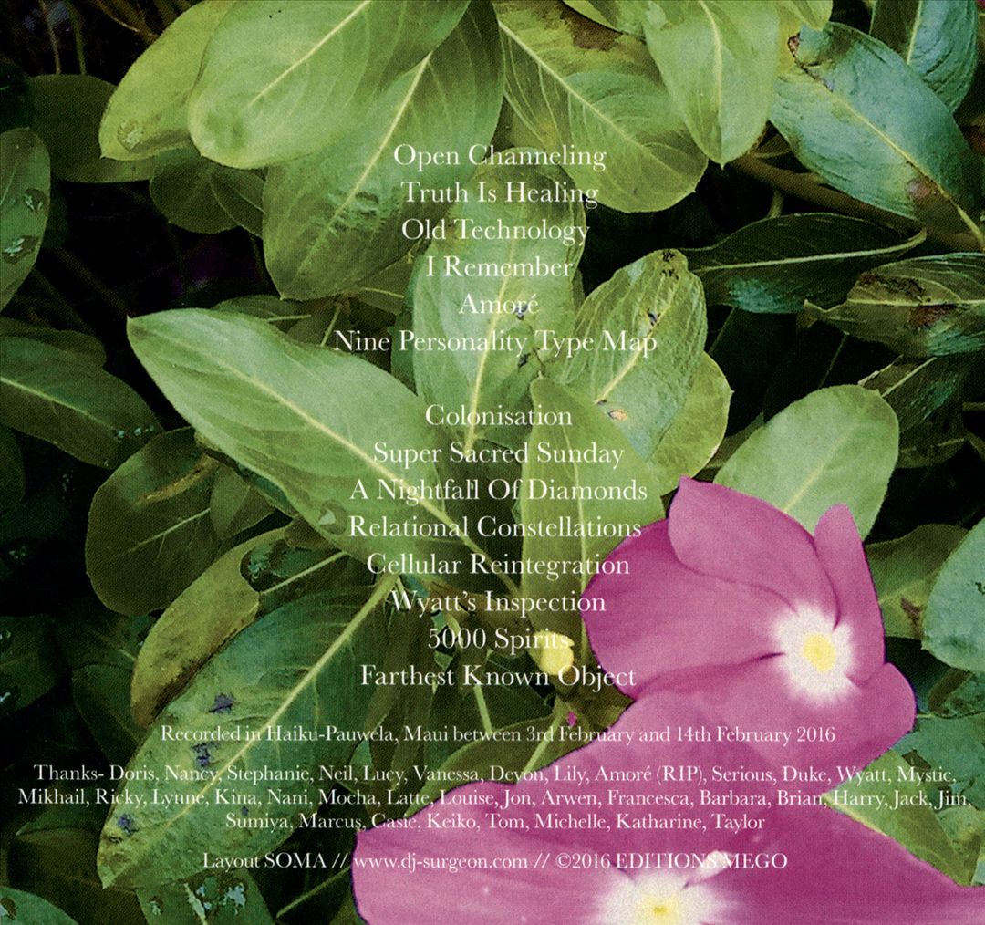 Electronic Recordings from Maui Jungle, Vol. 2 cover art
