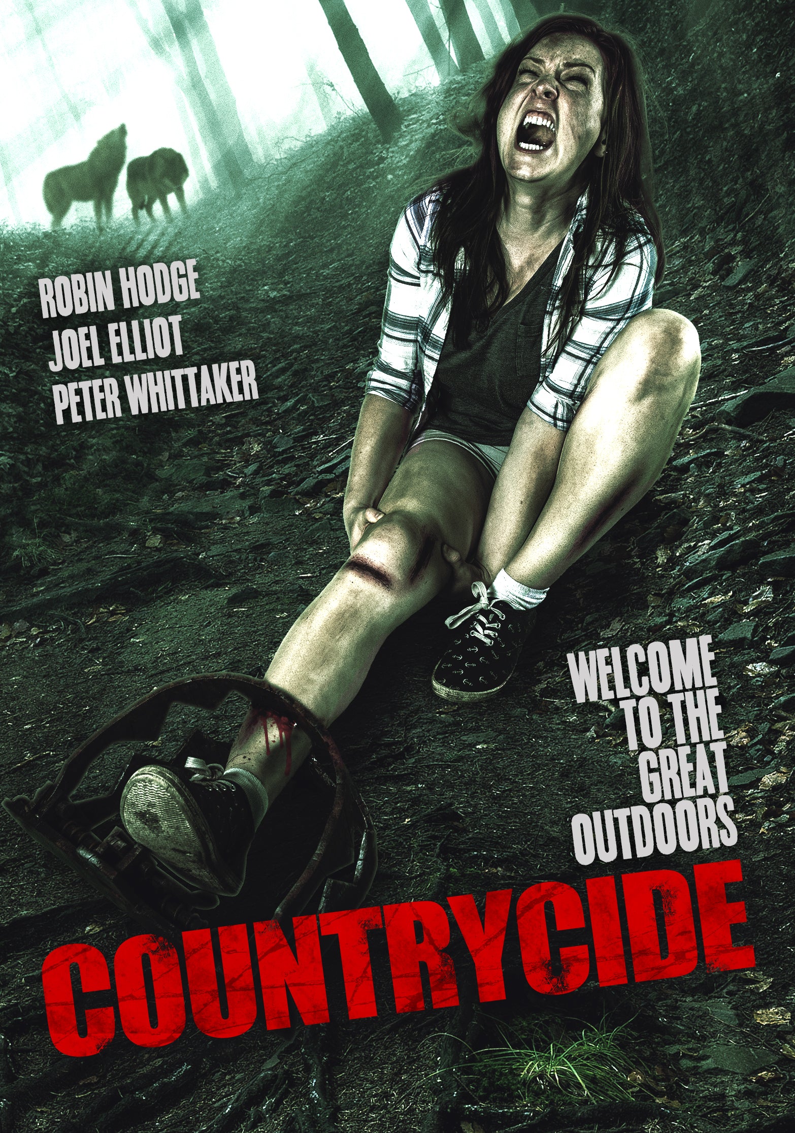 Countrycide cover art