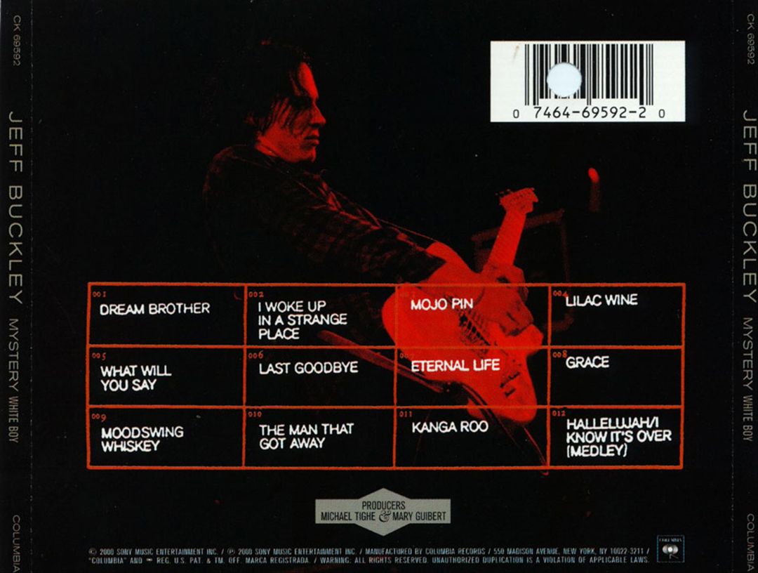 Mystery White Boy: Live '95-'96 cover art