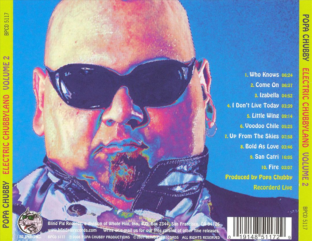 Electric Chubbyland, Vol. 2 cover art