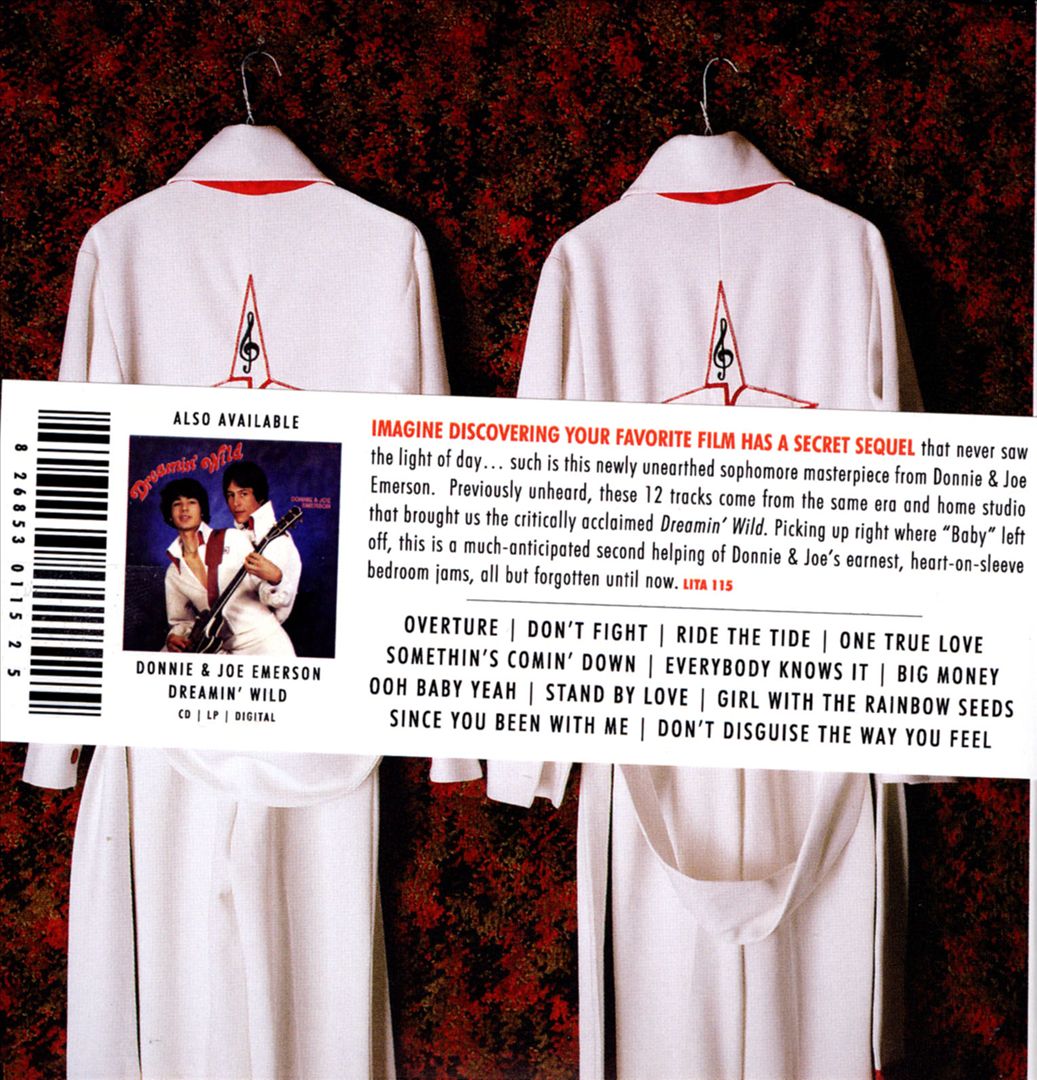 Still Dreamin Wild: Lost Recordings 1979-1981 cover art