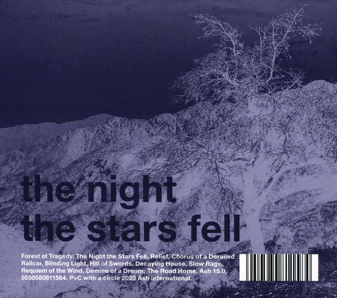 Night the Stars Fell cover art