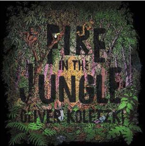 Fire in the Jungle cover art