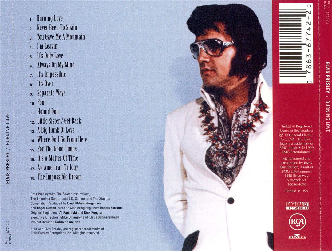 Burning Love cover art