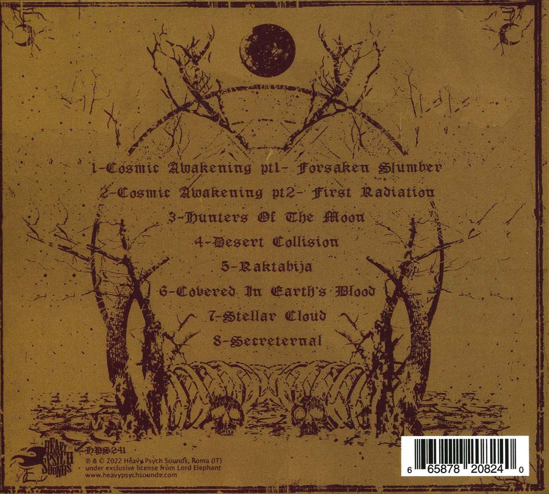Cosmic Awakening cover art