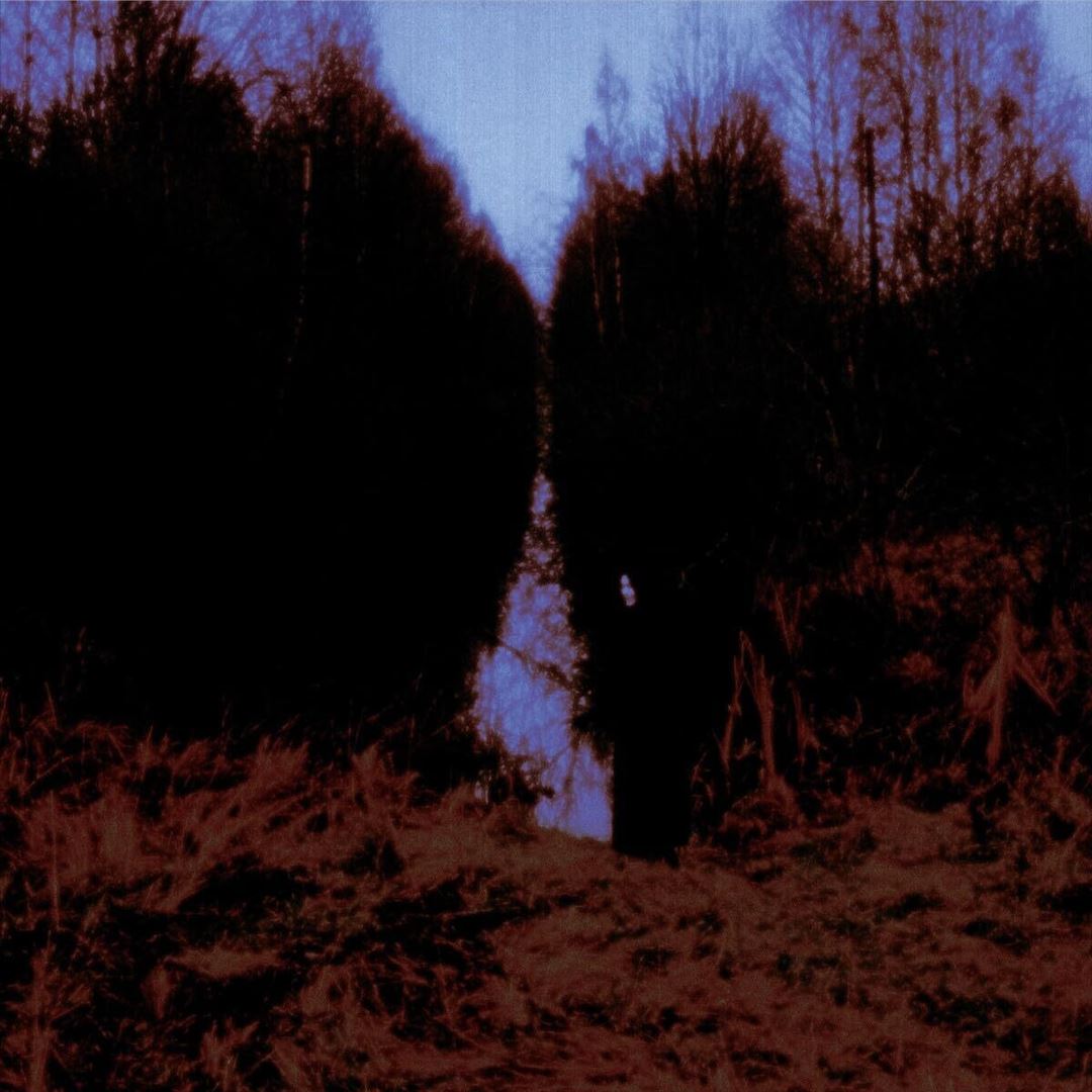 My Arms, Your Hearse cover art