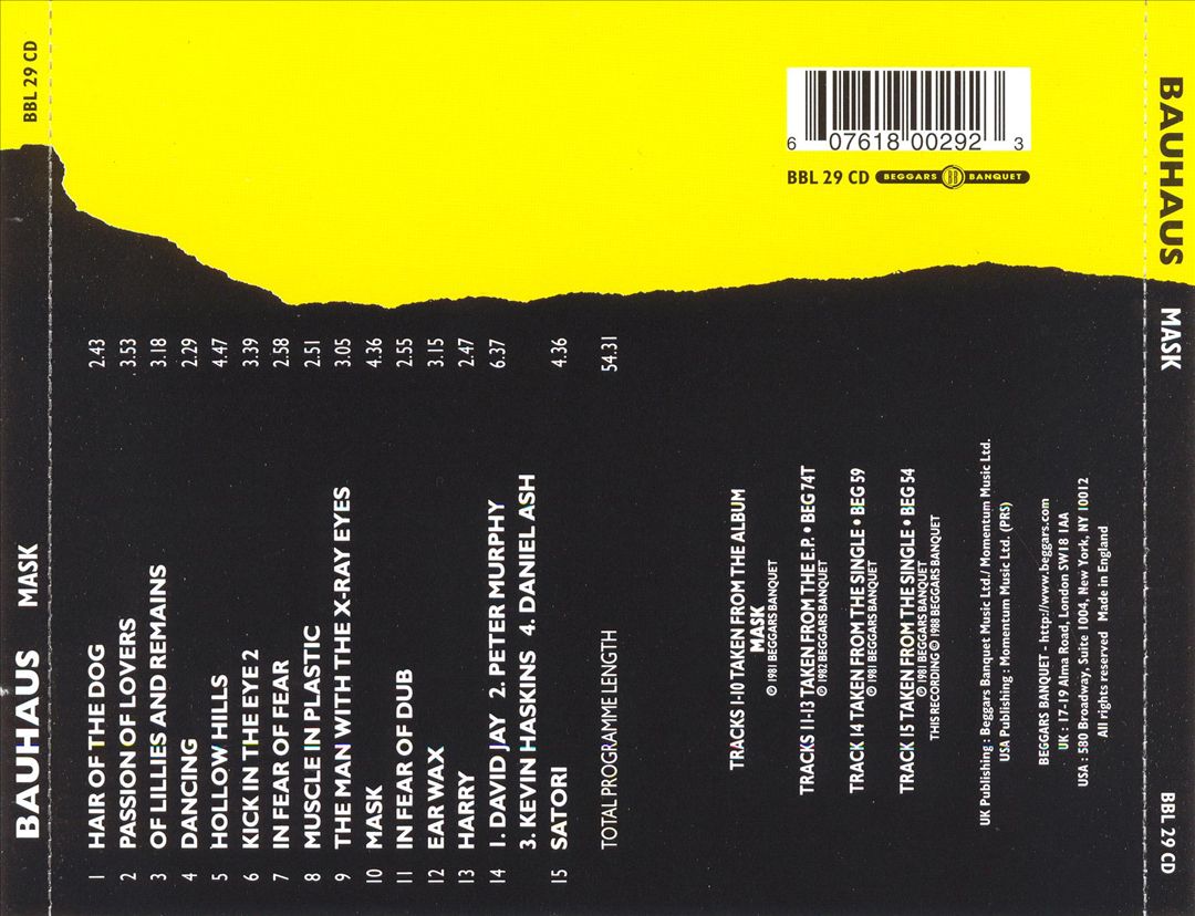 Mask cover art
