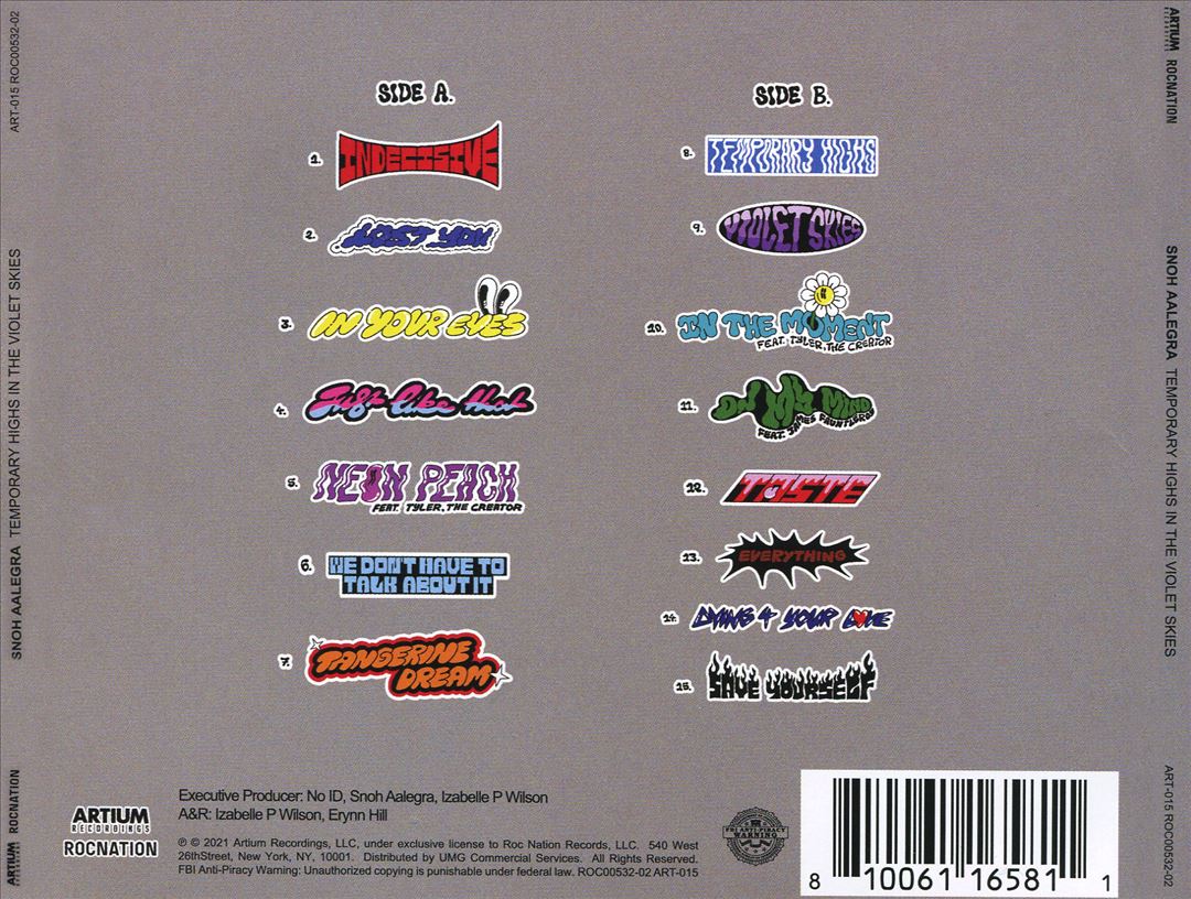 TEMPORARY HIGHS IN THE VIOLET SKIES cover art