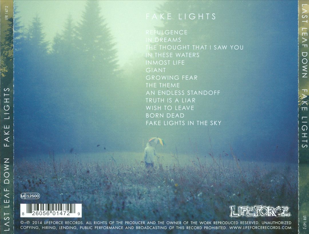 Fake Lights cover art