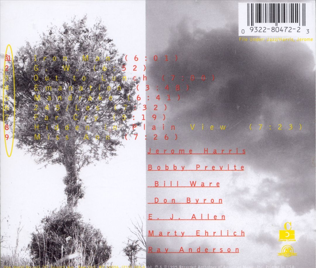 Hidden in Plain View cover art