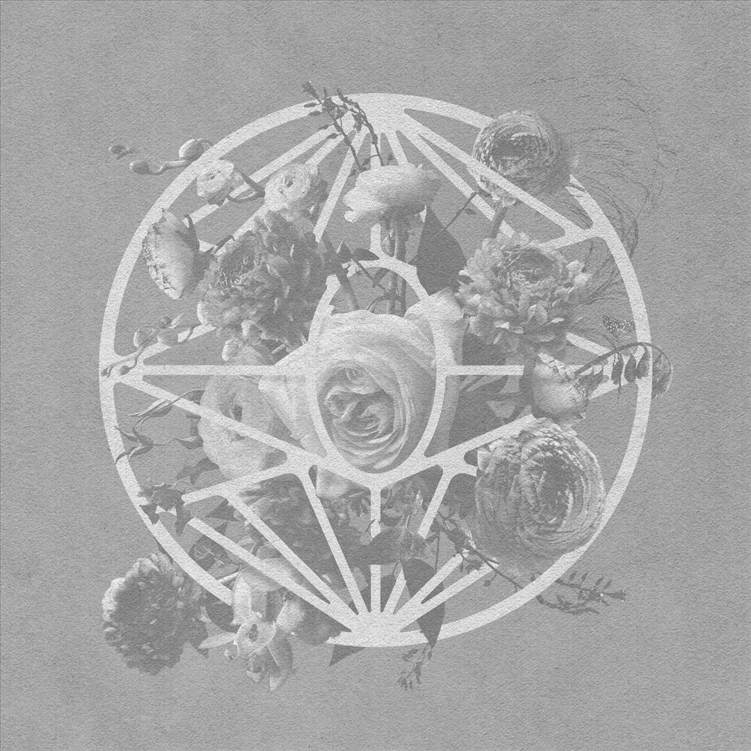 Turn the Light On [Deluxe Edition] cover art