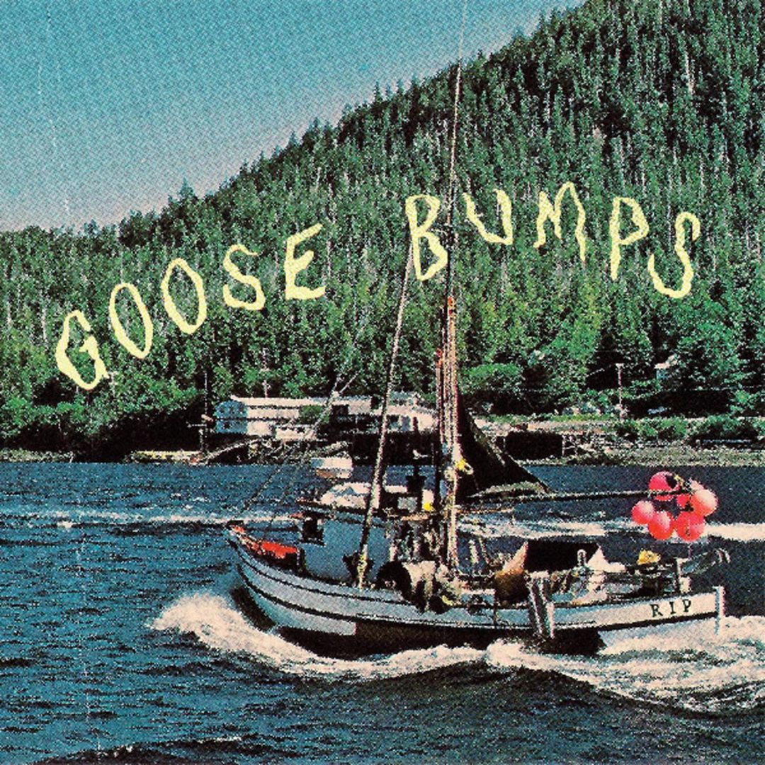 Goose Bumps cover art
