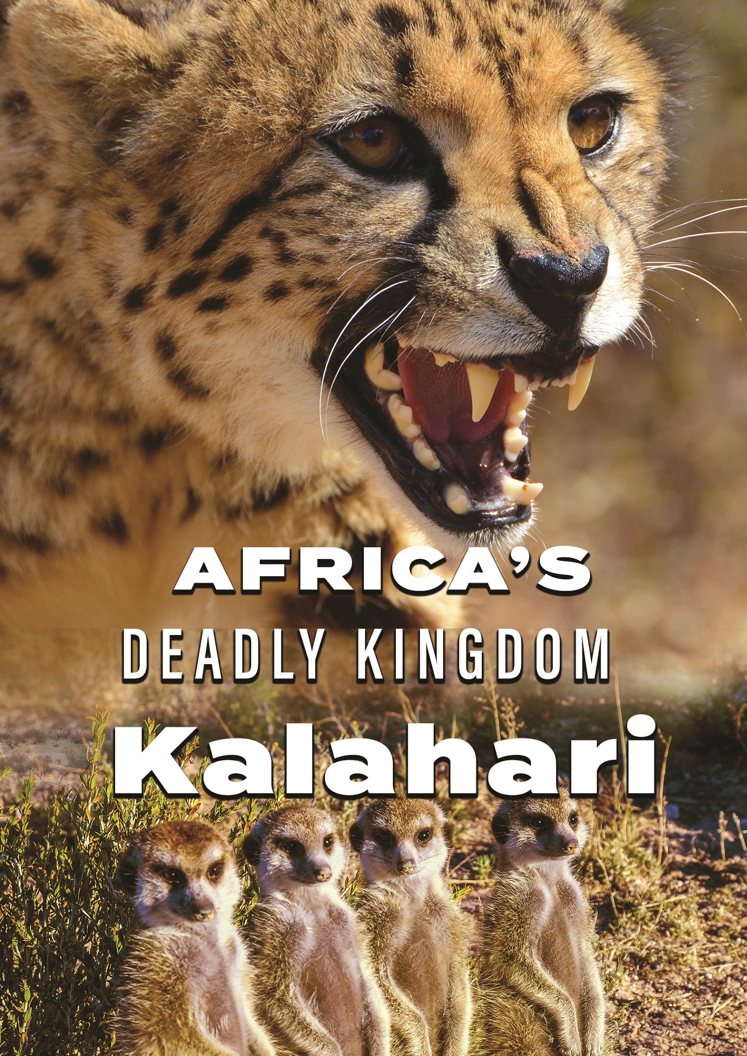 Africa's Deadly Kingdom: Kalahari cover art