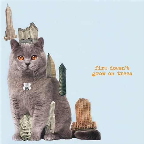 Fire Doesn't Grow On Trees cover art