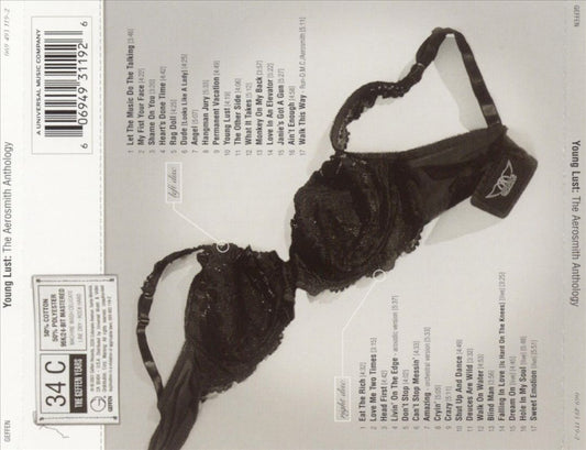 Young Lust: The Aerosmith Anthology cover art