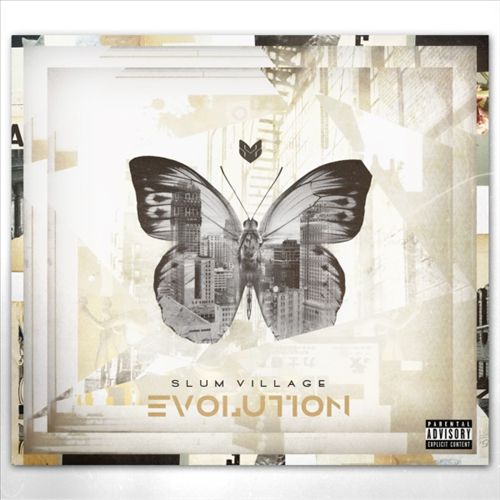 Evolution cover art