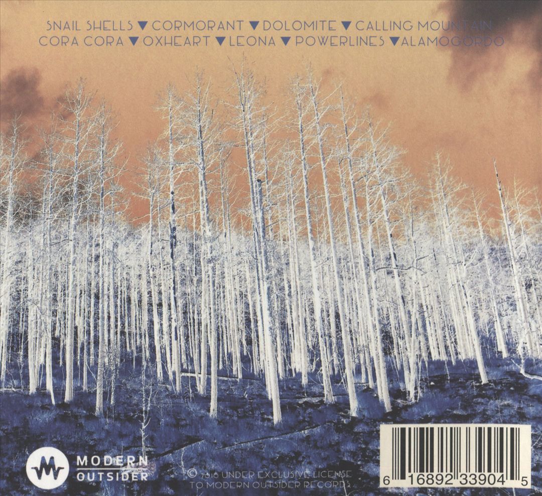 From the Forest Came the Fire cover art