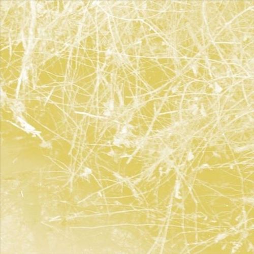 Cursory Asperses cover art