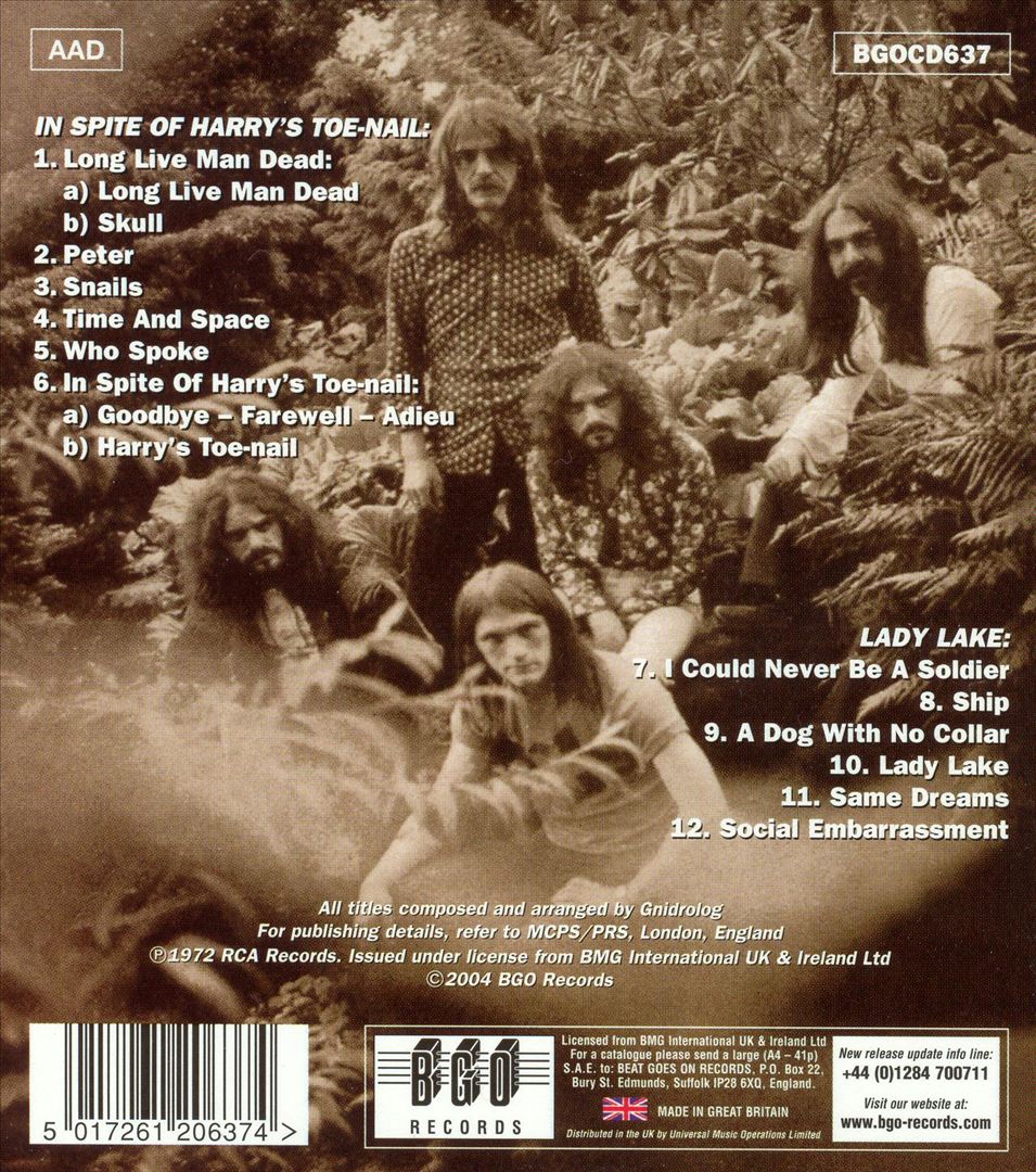 In Spite Of Harry's Toe-Nail/Lady Lake cover art