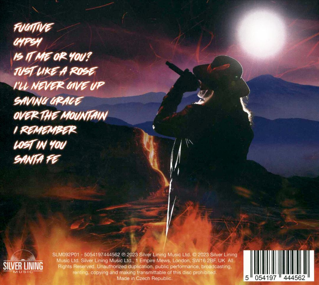 Heaven Comes Down cover art