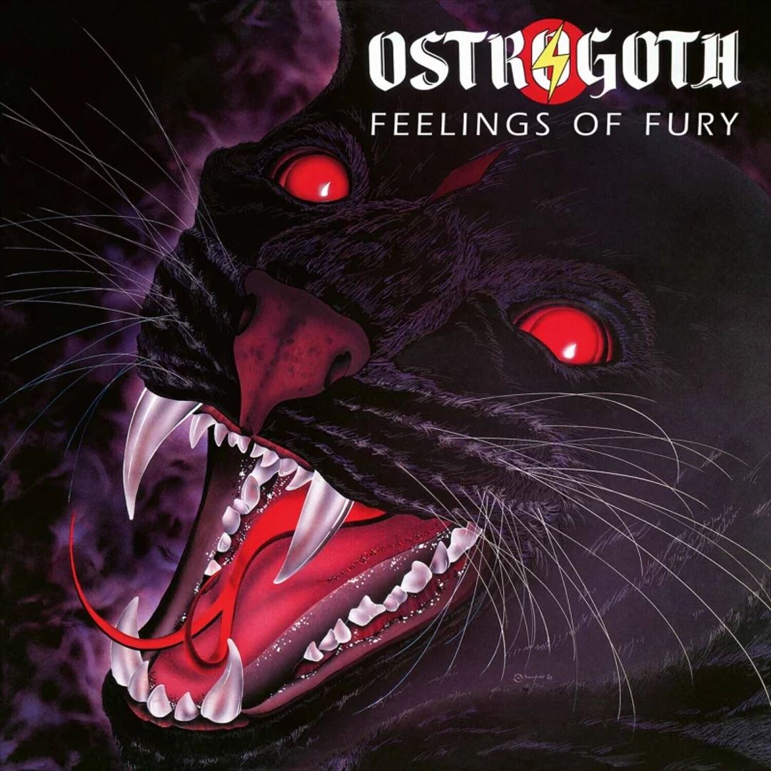 Feelings of Fury cover art