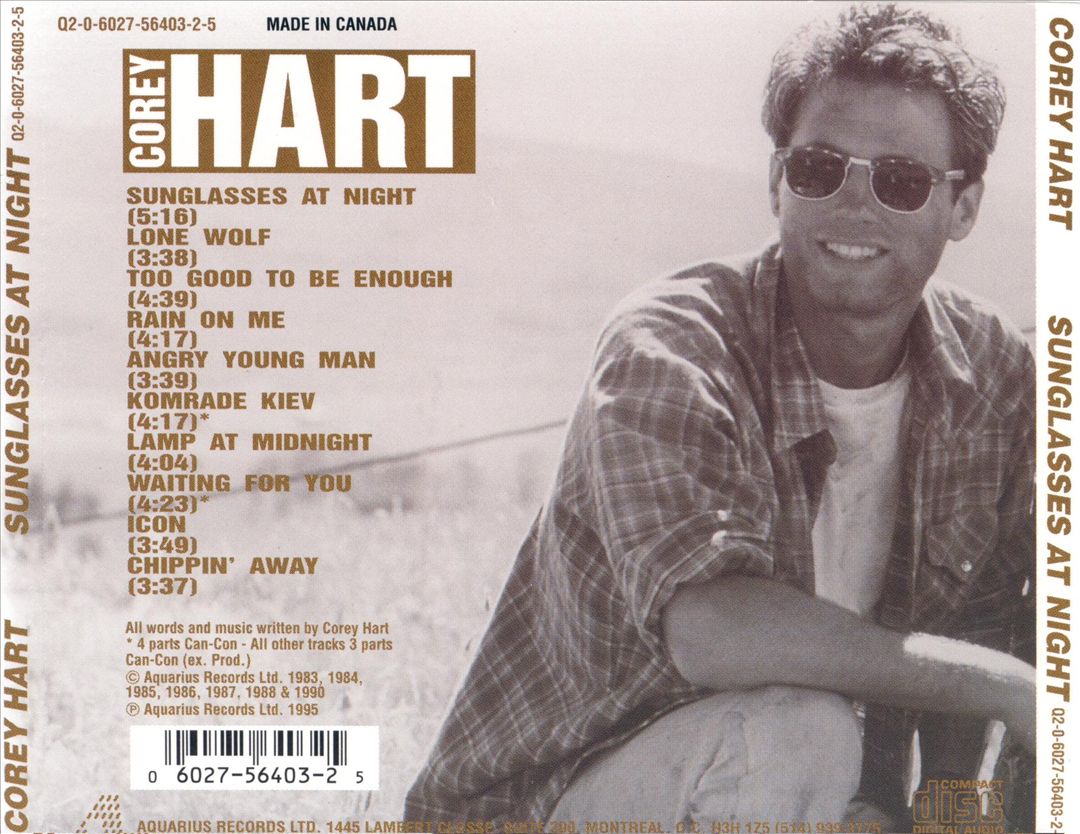 Sunglasses at Night cover art