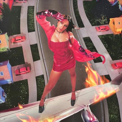 I Used to Think I Could Fly cover art