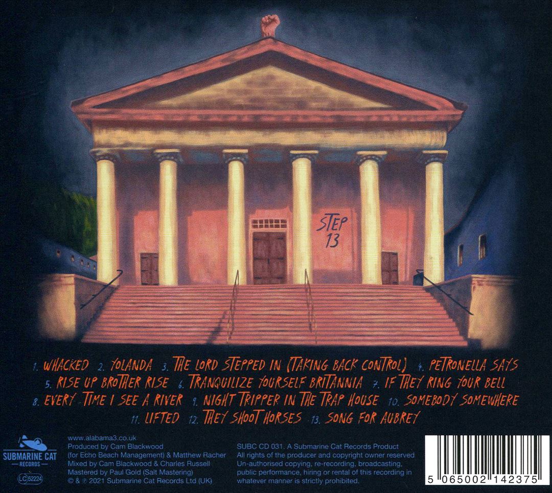 Step 13 cover art