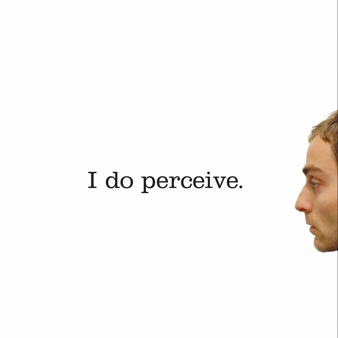 I Do Perceive cover art