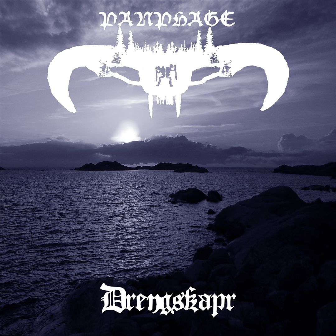 Drengskapr cover art
