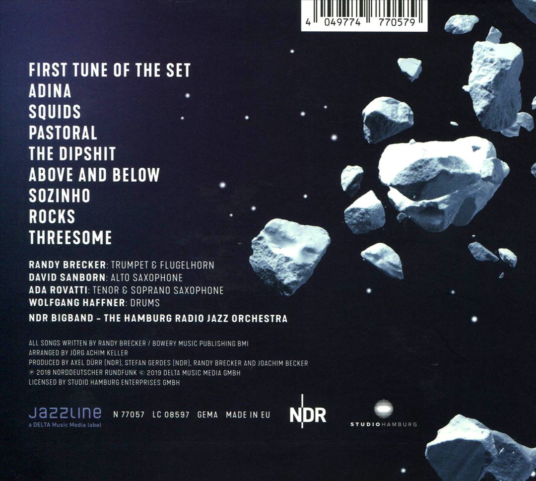 Rocks cover art
