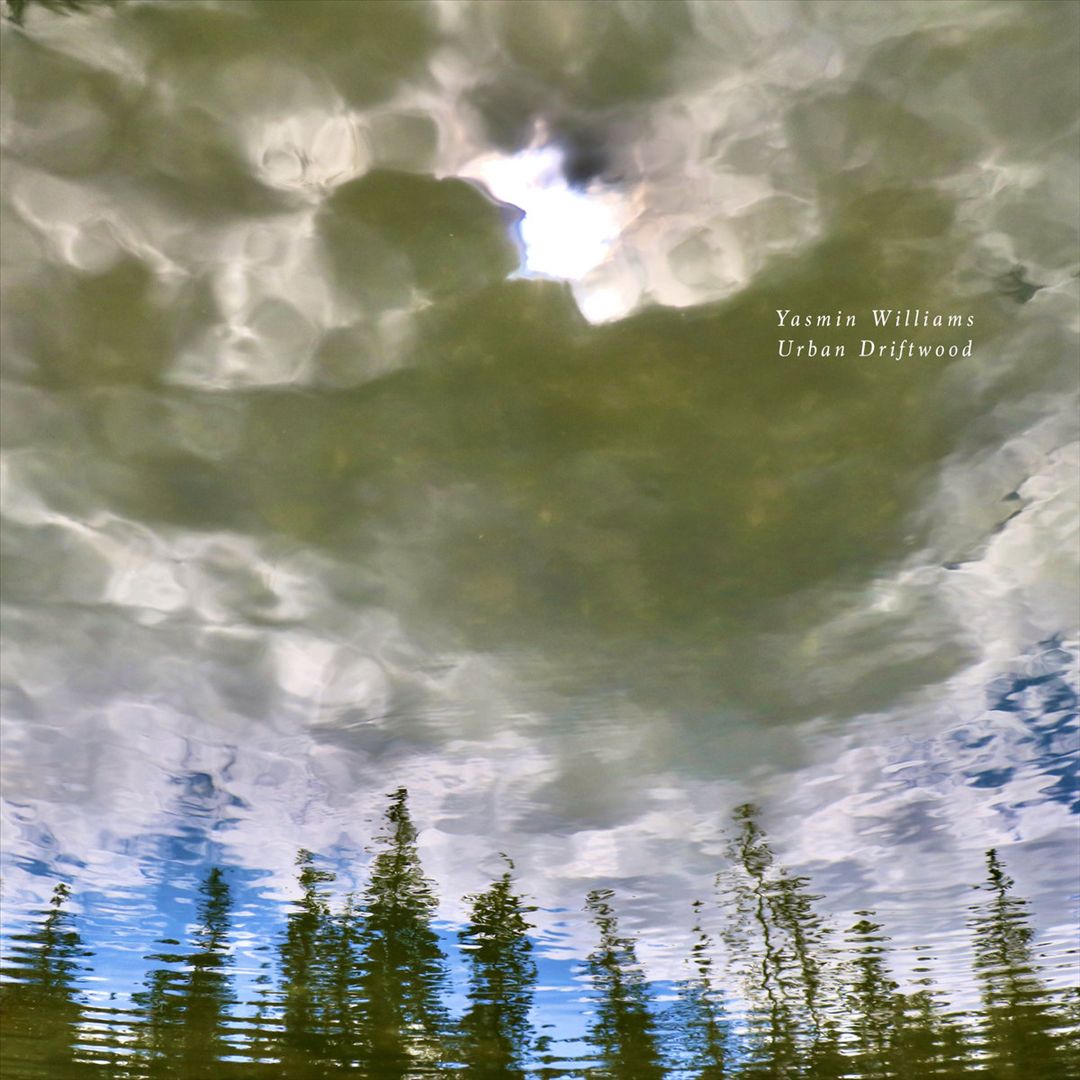 Urban Driftwood cover art