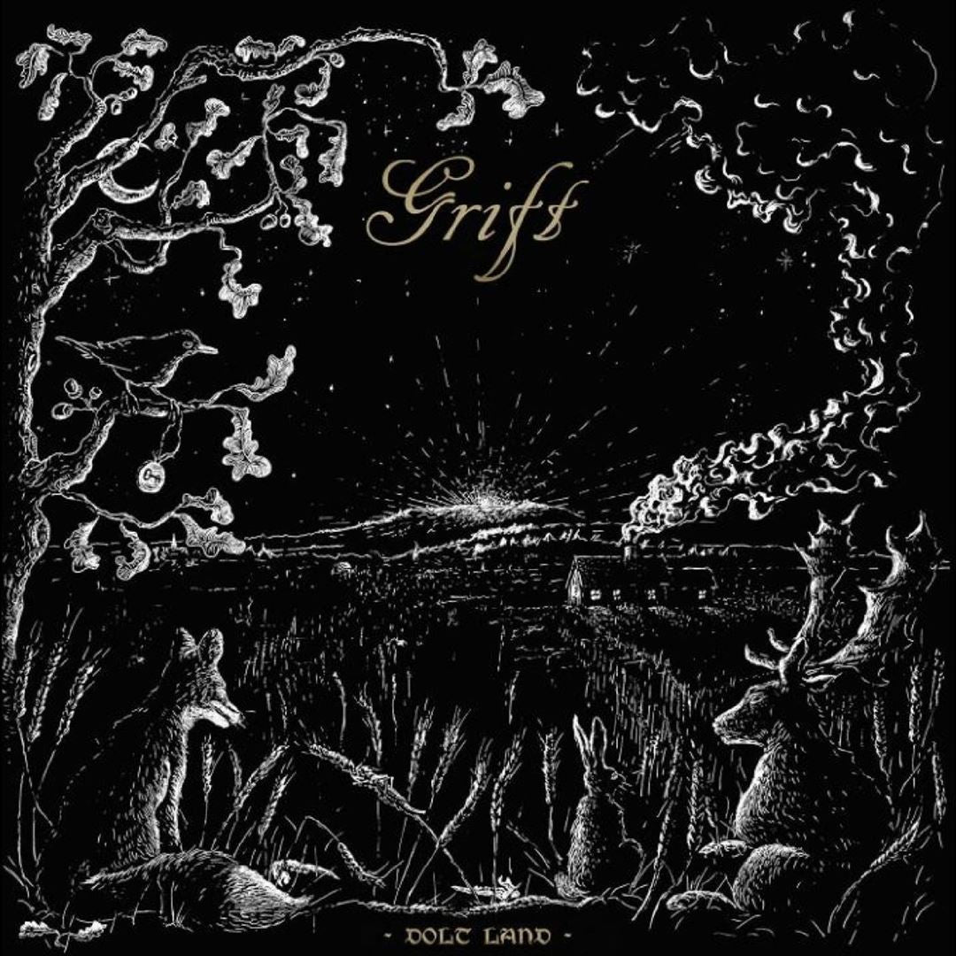 Dolt Land cover art